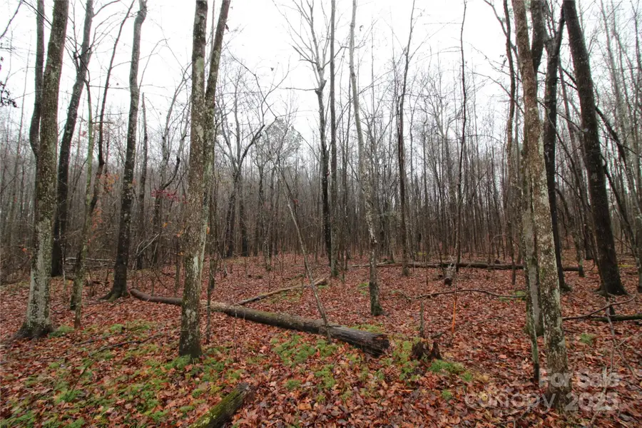 5+/-AC LOT 1 Eaker Road, Kings Mountain, NC 28086 - Image #3
