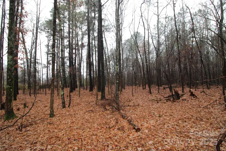 4+/-AC LOT 5 Neal Road, Kings Mountain, NC 28086 - Image #3