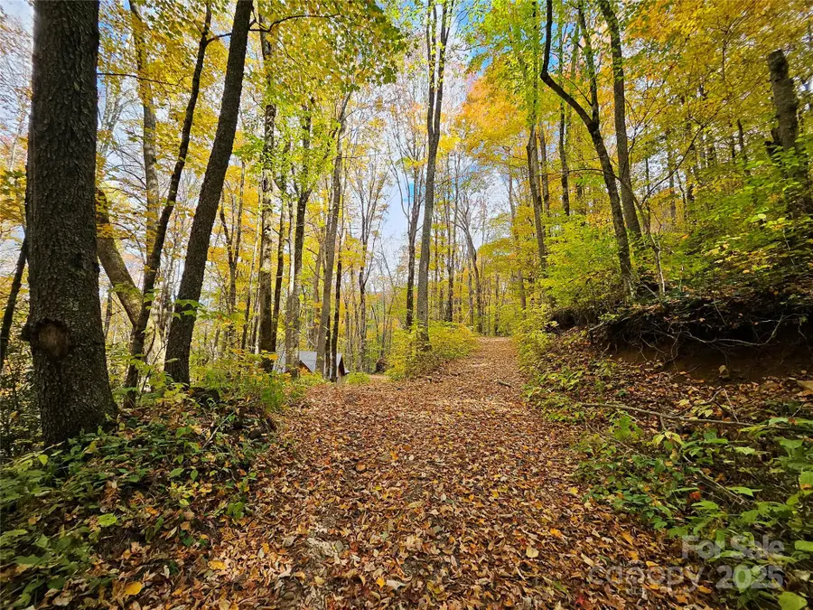 25 Hollow Log Road, Burnsville, NC 28714 - Image #3