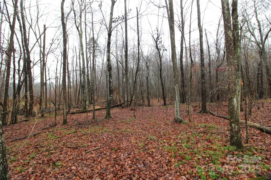 4+/-AC Eaker Road #LOT 2, Kings Mountain, NC 28086 - Image #3