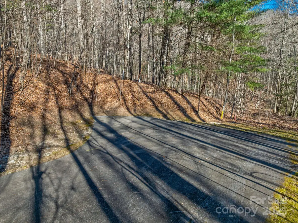 TBD Ladys Fern Trail #10, Laurel Park, NC 28739 - Image #1