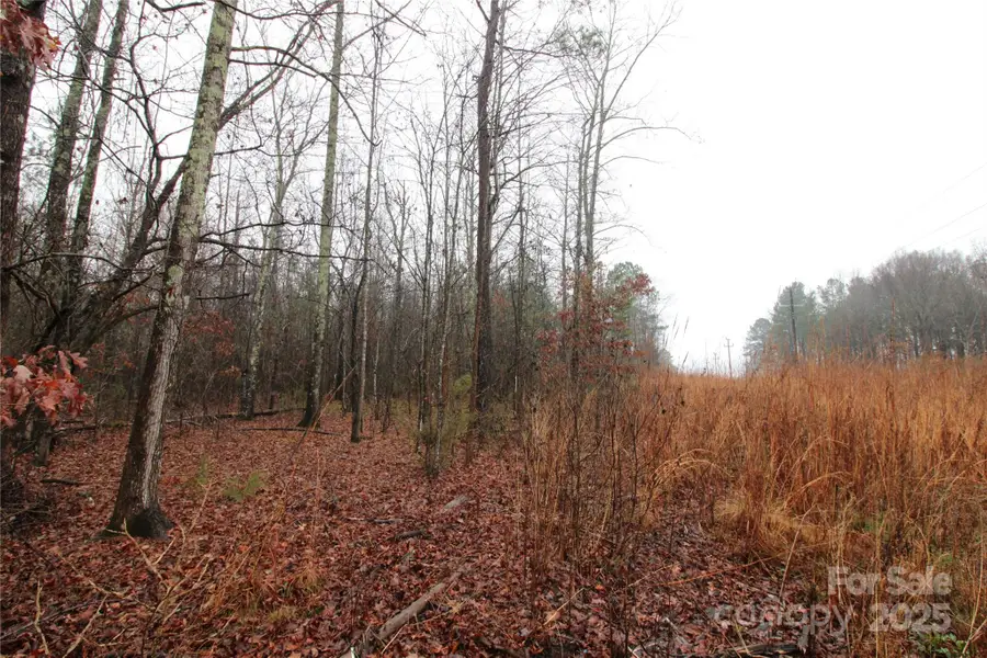 4+/-AC Eaker Road #LOT 4, Kings Mountain, NC 28086 - Image #2