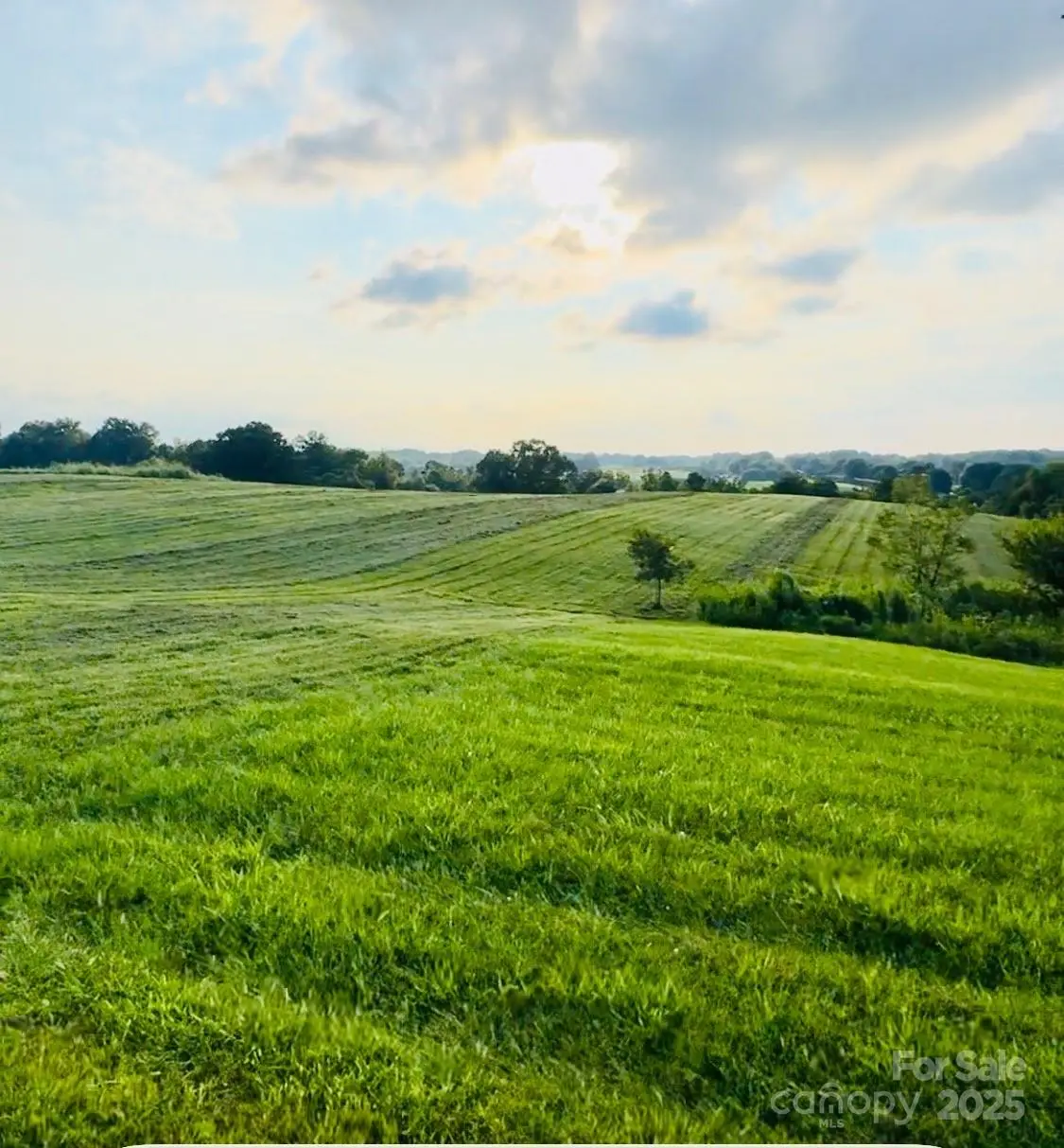 34595 Glory Hills Drive, Albemarle, NC 28001 - Image #1