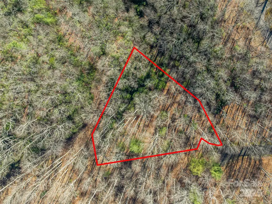 TBD Ladys Fern Trail #9, Laurel Park, NC 28739 - Image #3