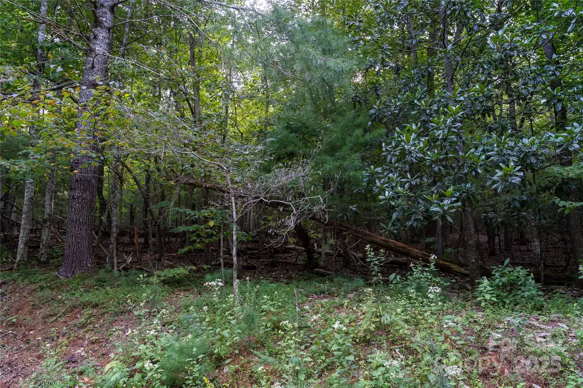 0 Swans Way E #249&250, Lake Lure, NC 28746 - Image #1