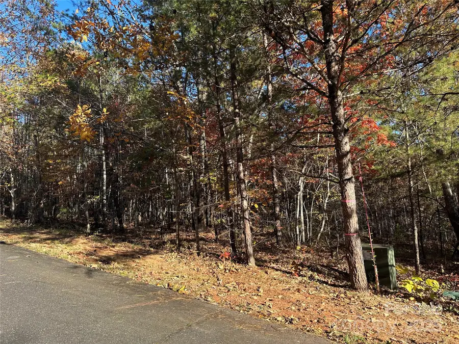 0 Rock Ledge Drive #339, Lake Lure, NC 28746 - Image #2