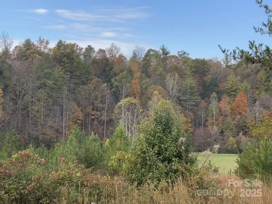 0000 Cypress Trail, Lenoir, NC 28645 - Image #2