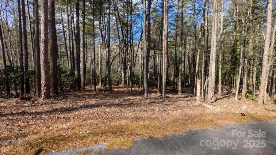 257 Roberts Lane N #7, Flat Rock, NC 28731 - Image #3