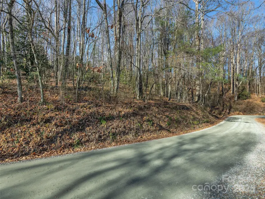 000 Indian Cave Road, Hendersonville, NC 28739 - Image #2