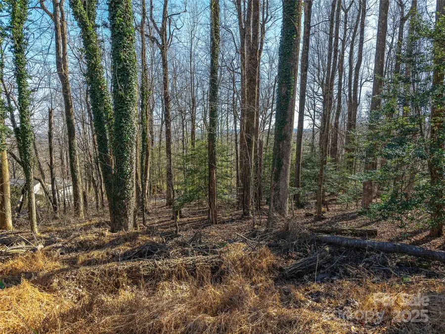 000 Indian Cave Road, Hendersonville, NC 28739 - Image #3