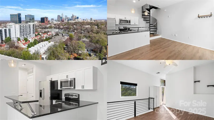 2076 Euclid Avenue, Charlotte, NC 28203 - Image #2