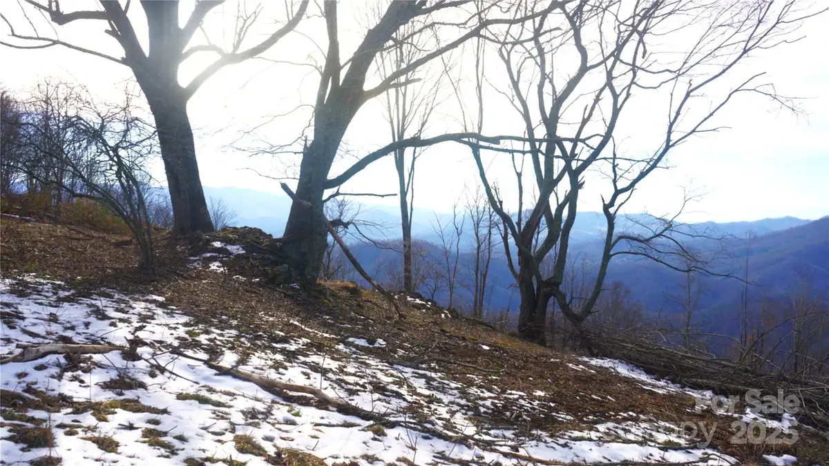 SR-1386 W Sang Branch, Hog Branch Road W, Egypt, NC 28719 - Image #1