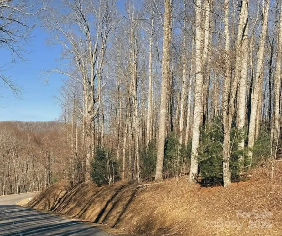 0 Dragonfly Court #Lot 3, Spruce Pine, NC 28777 - Image #3