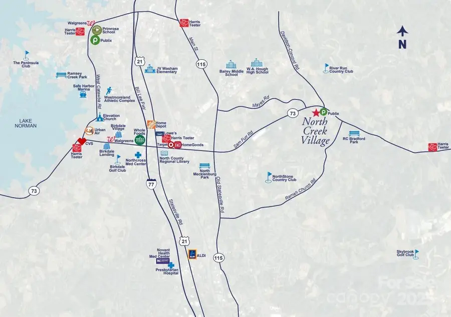 10114 Mamillion Drive, Huntersville, NC 28078 - Image #3