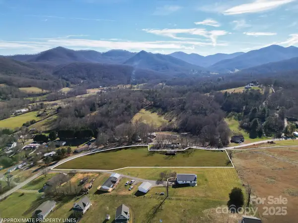 99999 Whataview Drive, Candler, NC 28715