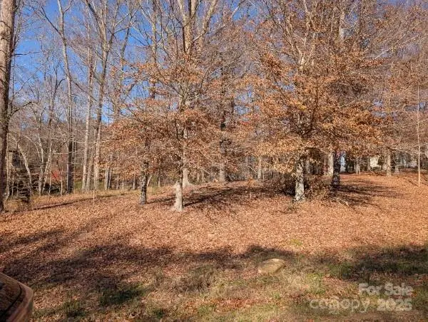 3252 Millstone Creek Road, Lancaster, SC 29720 - Image #3