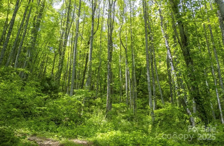 00 Cold Creek Road, Canton, NC 28716 - Image #3