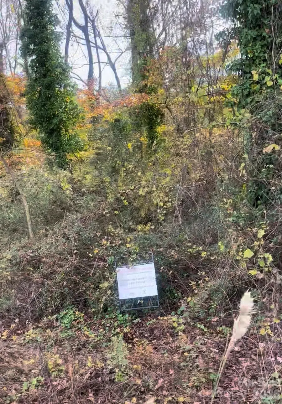 2019 C Avenue, Charlotte, NC 28216 - Image #2