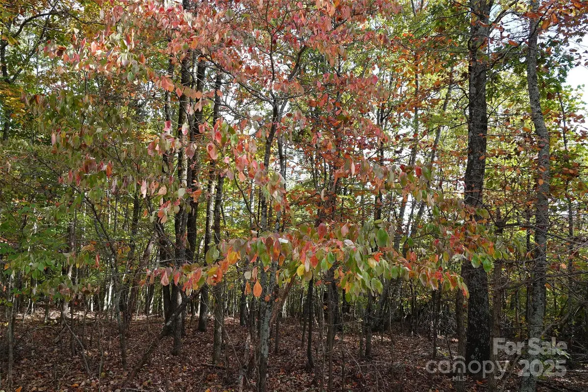 69 Adirondack Lane, Bostic, NC 28018 - Image #1