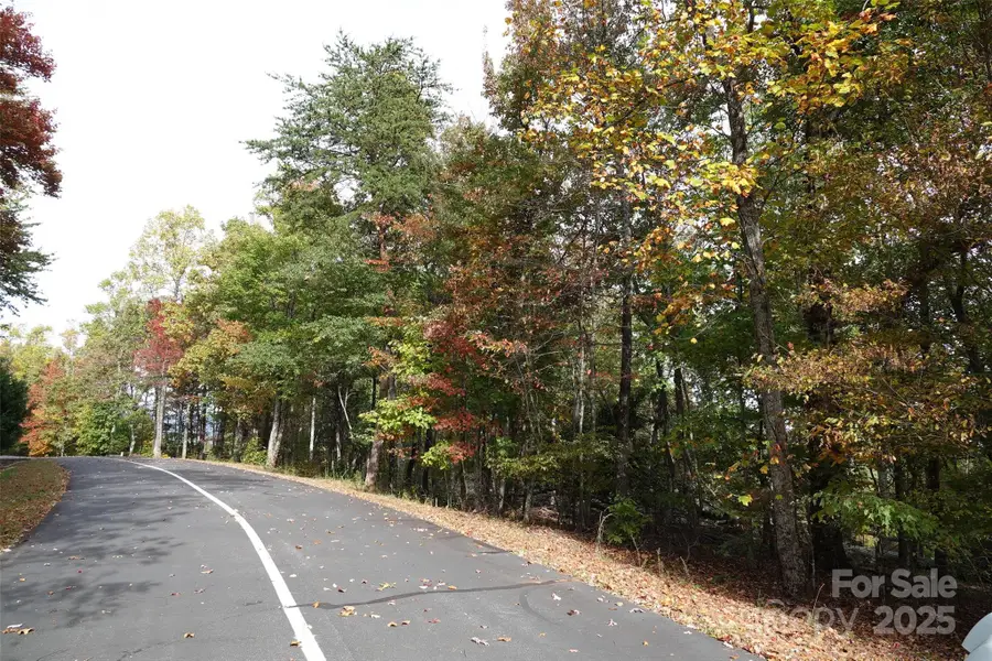 69 Adirondack Lane, Bostic, NC 28018 - Image #3