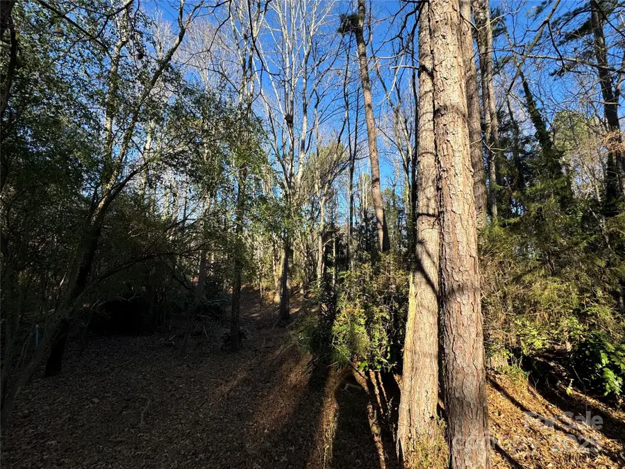 0000 Dogwood Lane #LOTS 4/5, Badin, NC 28009 - Image #3