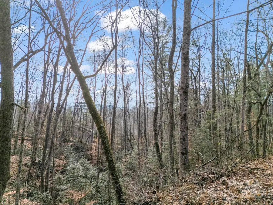 17 Maple Leaf Drive, Hendersonville, NC 28792 - Image #3