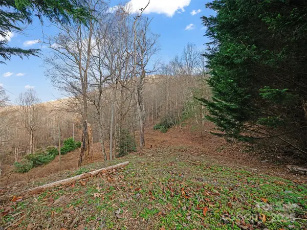 99999 Flora Rose Trail, Asheville, NC 28803