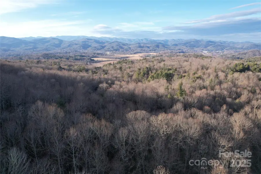 TR-17 Double Falls Road #17, Pisgah Forest, NC 28768 - Image #2