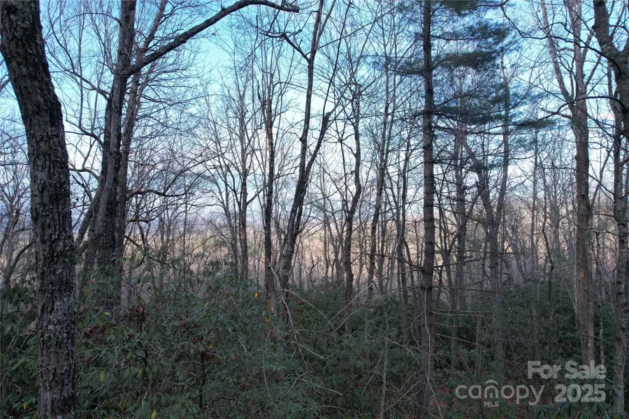 TR-17 Double Falls Road #17, Pisgah Forest, NC 28768 - Image #3