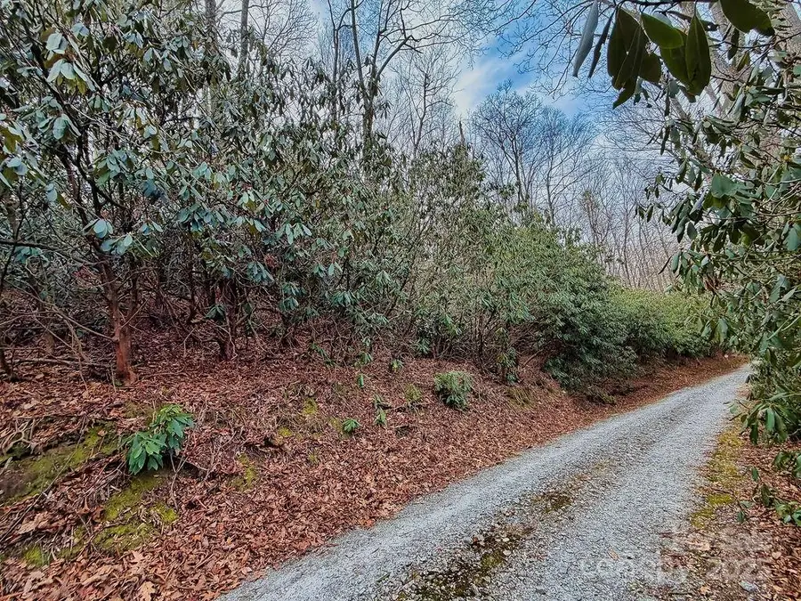 00 Lazy Bear Trail #35-36, Hendersonville, NC 28792 - #2