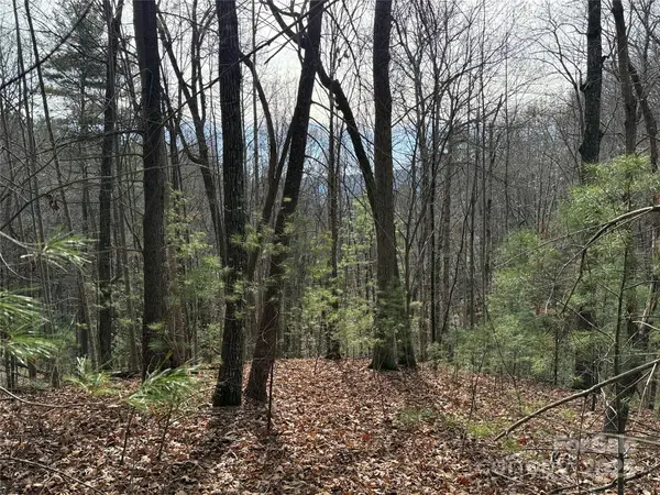 TBD Buck Mountain Road #21, Purlear, NC 28665