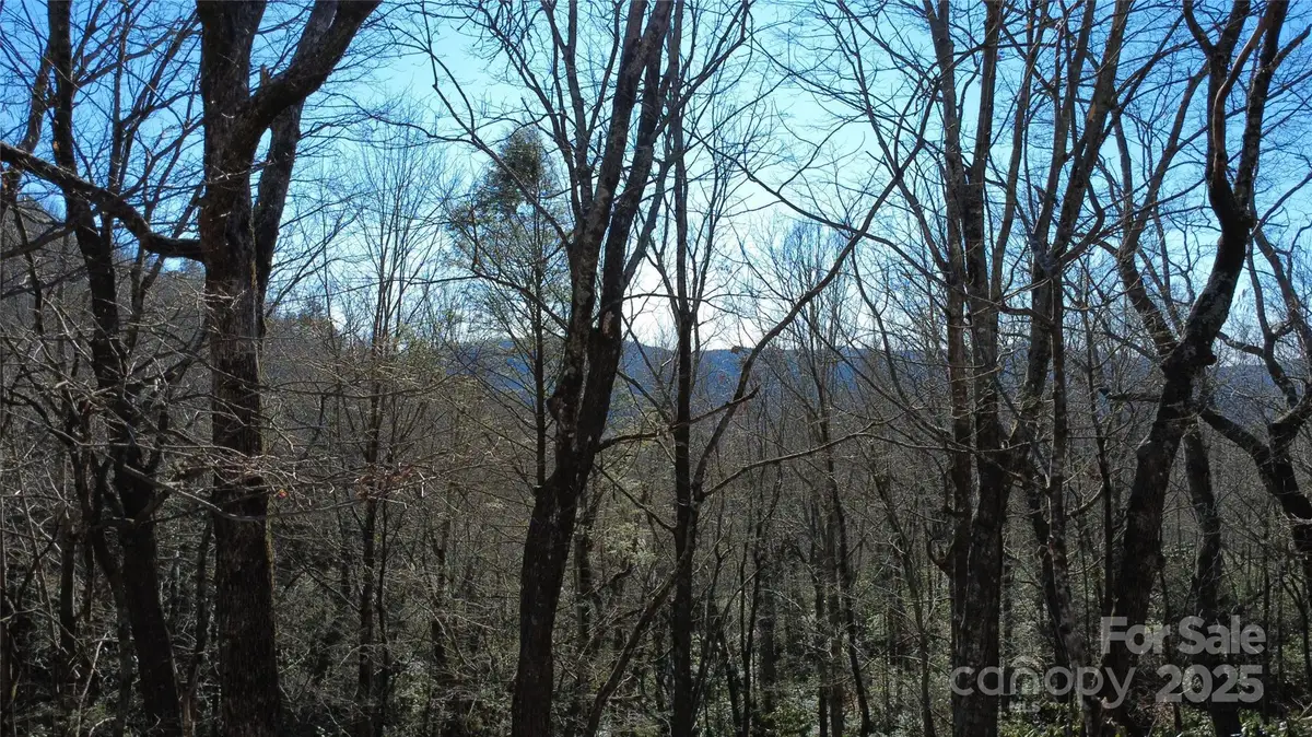 Lot 26 Big Branch Road, Brevard, NC 28712 - #1