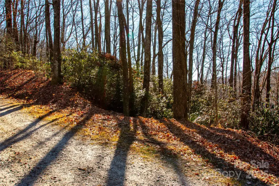 Lot 18 Joshua Road, Rosman, NC 28772 - #3