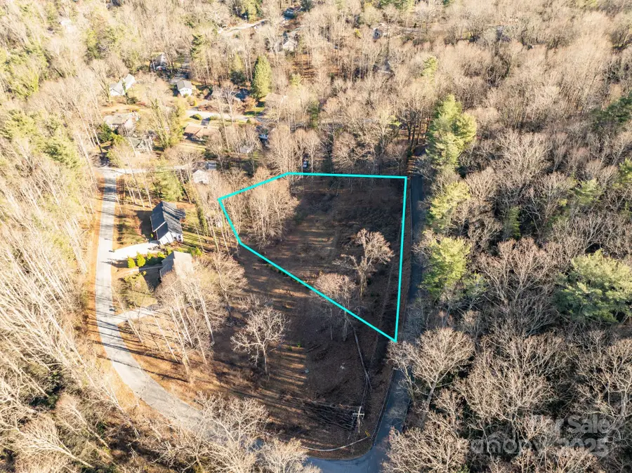 TBD Davis Mountain Road, Laurel Park, NC 28739 - Image #2