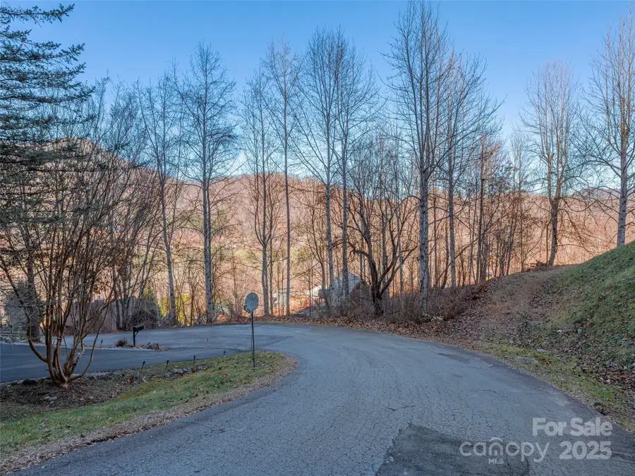 000 Appalachian Trail, Maggie Valley, NC 28751 - Image #2