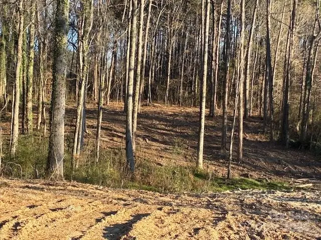 231 Hoke Drive, Dallas, NC 28034 - Image #2