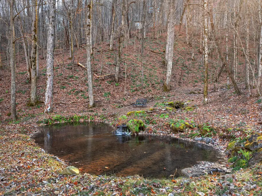 1591 Chestnut Flats Lane, Waynesville, NC 28786 - Image #3