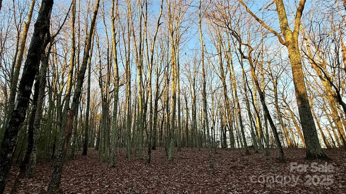 1615 Fox Dairy Road, Newton, NC 28658 - Image #1