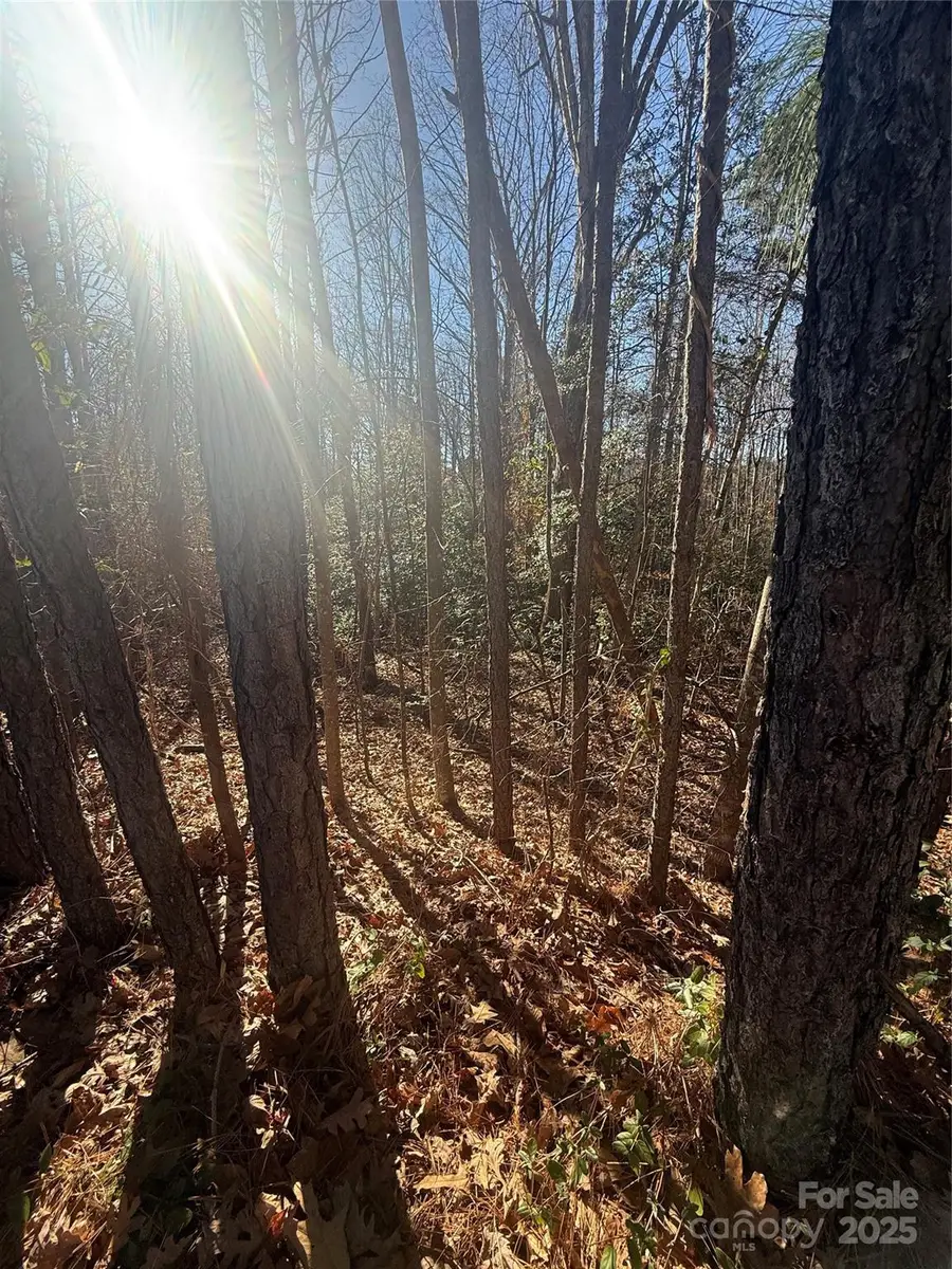 6029 Chaucer Lane, Granite Falls, NC 28630 - #3