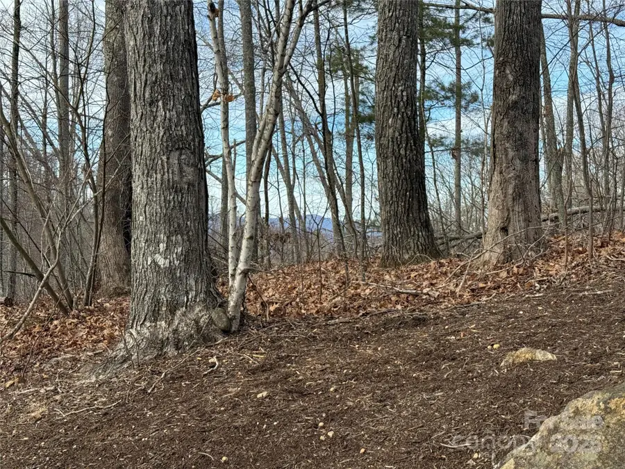 Lot 26 Austin Mountain Drive, Burnsville, NC 28714 - Image #3