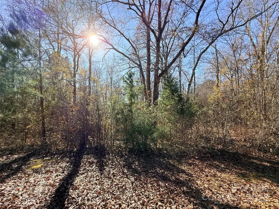 Lot 24 Avalon Lane #24, Lancaster, SC 29720 - #2