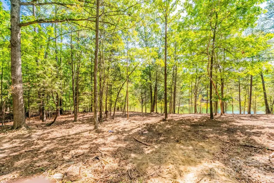 4389 Concord Road #Lot 2B, York, SC 29745 - #2