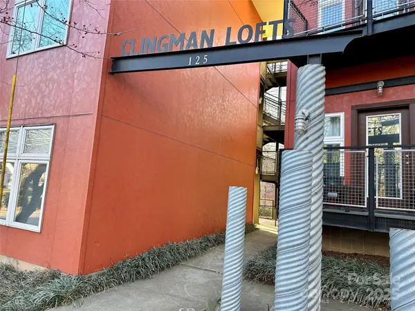 125 Clingman Avenue #203, Asheville, NC 28801