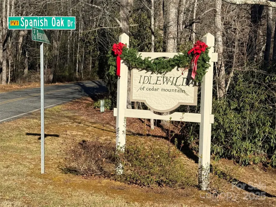 V/L Spanish Oak Drive #9, Cedar Mountain, NC 28718 - Image #2