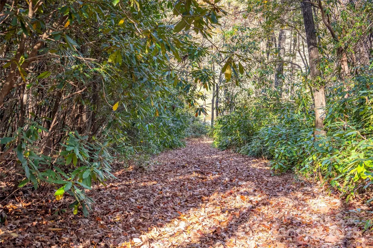 L 9A R Old Mine Point, Lake Toxaway, NC 28747 - Image #1