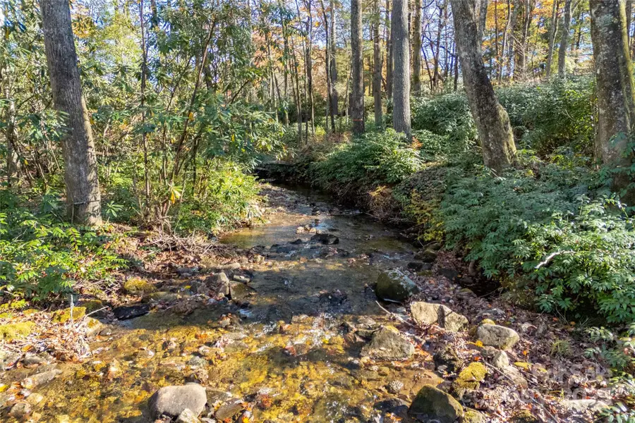 L 9A R Old Mine Point, Lake Toxaway, NC 28747 - Image #2