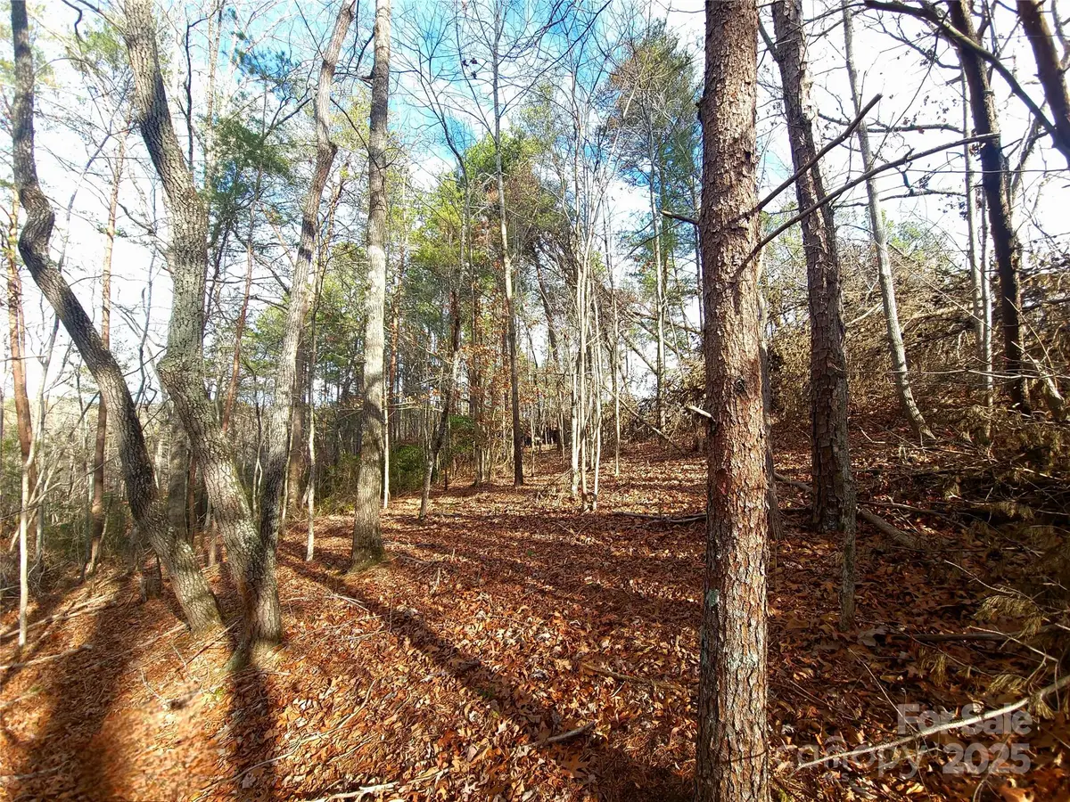 000 Skylark Lane #8, Tryon, NC 28782 - Image #1