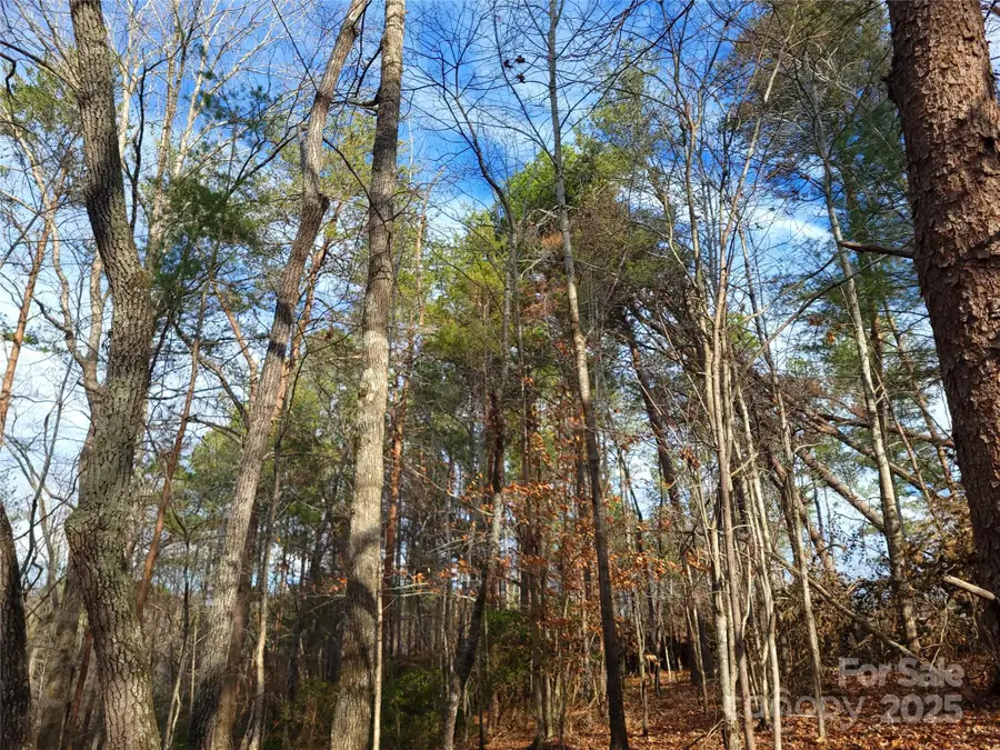 000 Skylark Lane #8, Tryon, NC 28782 - Image #2