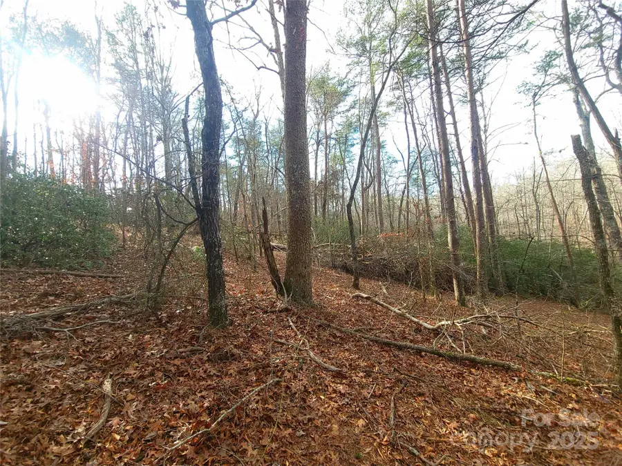 000 Skylark Lane #8, Tryon, NC 28782 - Image #3