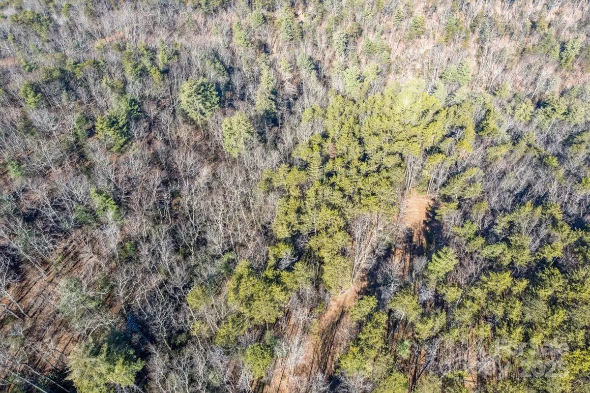 0 Sassafras Lane, Connelly Springs, NC 28612 - Image #1